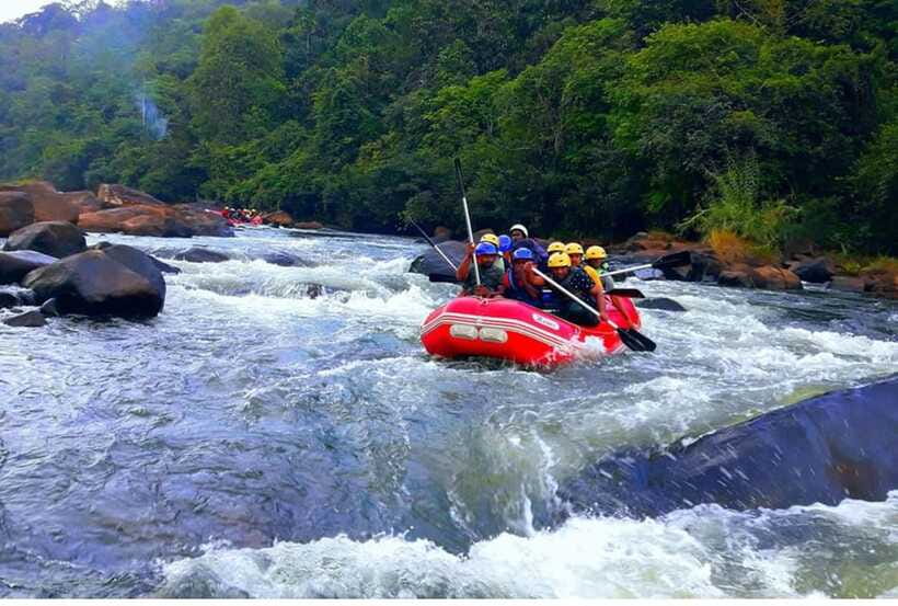 Colombo/ Negombo: Kithulgala White Water Rafting Adventure - Swimming after the main rafting run