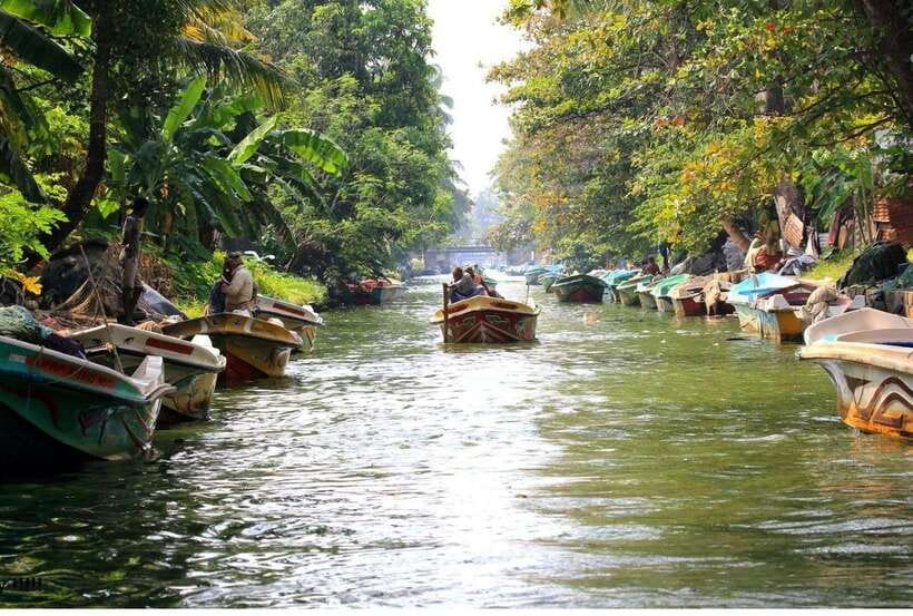 Colombo/Negombo: Muthurajawela & Dutch Canal Boat Adventure - Why Muthurajawela is worth your morning