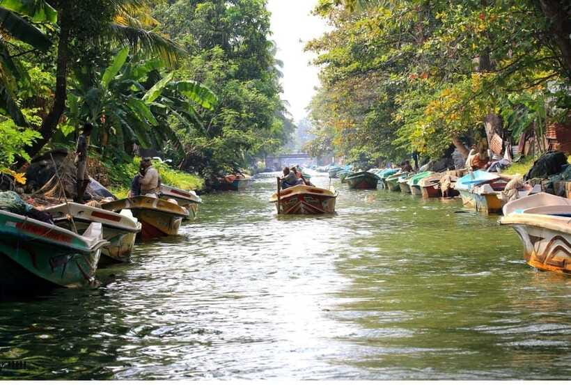 Colombo/Negombo: Muthurajawela & Dutch Canal Boat Adventure - From sanctuary to Negombo’s Dutch Canal