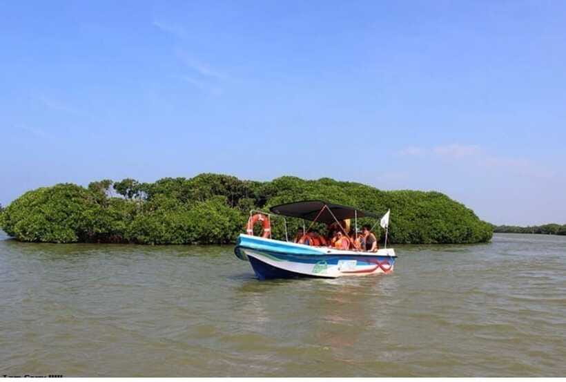Colombo/Negombo: Muthurajawela & Dutch Canal Boat Adventure - Understanding the $85 price