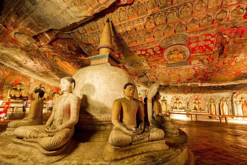 Colombo/Negombo: Sigiriya, Dambulla, and Minneriya Safari - Should you book it?