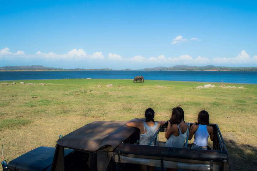 Colombo/Negombo: Sigiriya, Dambulla, and Minneriya Safari - Lunch and the practical cost of the day