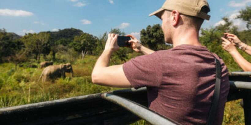 Colombo/Negombo to Sigiriya, Dambulla & Jeep Safari Day Tour - A jeep safari through Sri Lankan wild country