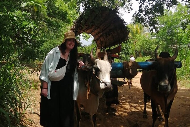Colombo , Negombo to Trincomalee Transfer and Safari - Turning a long ride into a full day out