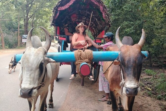 Colombo , Negombo to Trincomalee Transfer and Safari - The guide and driver can shape the whole day