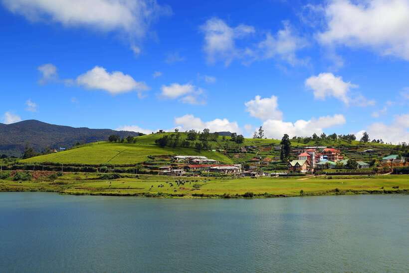 Colombo: Nuwara Eliya: Tea Gardens,Colonial Charm & High Tea - Tea fields and the Ceylon tea factory