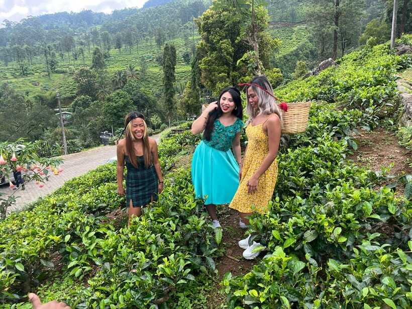 Colombo: Nuwara Eliya: Tea Gardens,Colonial Charm & High Tea - What to pack for the high country