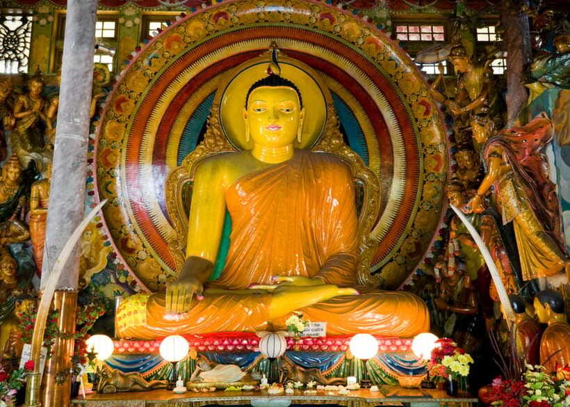 Colombo: One Day Private City Tour With Gangaramaya Temple - Viharamahadevi Park and the old Town Hall