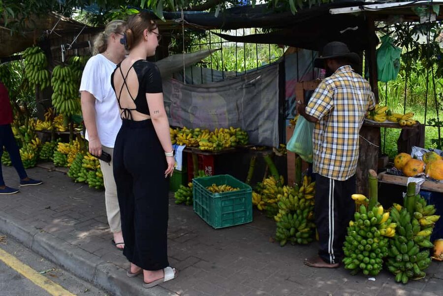 Colombo: private city tour from Negombo with hotel transfers - Sambodhi Chaithya or Lotus Tower