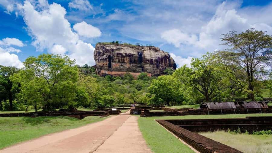 Colombo: Sigiriya Rock Fortress & Dambulla Cave Temple Tour - What the $95 price really covers