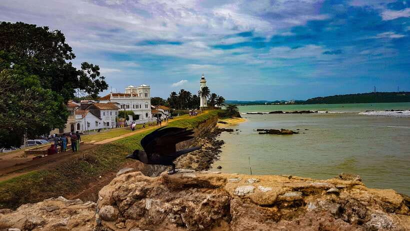 Colombo: Southern Sri Lanka and Hill Country 3 Days Tour - Key points to know before booking