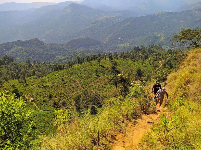 Colombo: Southern Sri Lanka and Hill Country 3 Days Tour - FAQ