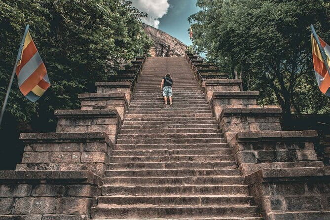 Colombo to Kandy Shuttle with Dambulla Sightseeing Tour - What $100 includes, and what it does not