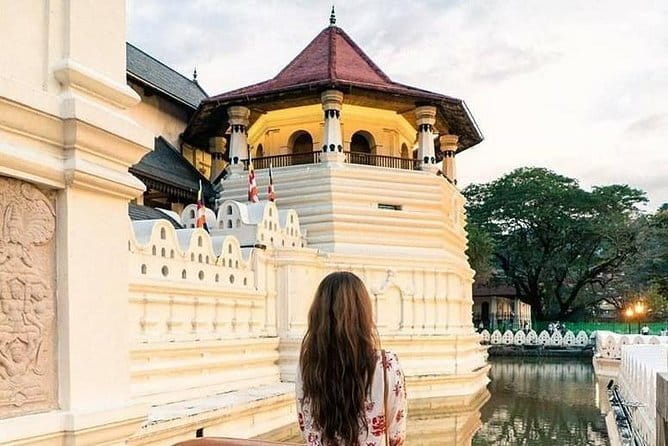 Colombo to Kandy Shuttle with Dambulla Sightseeing Tour - Should you book the Colombo to Kandy tour?