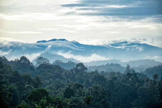 Colombo to Kandy Train Tickets (Reserved Seats) - Key points to know before booking
