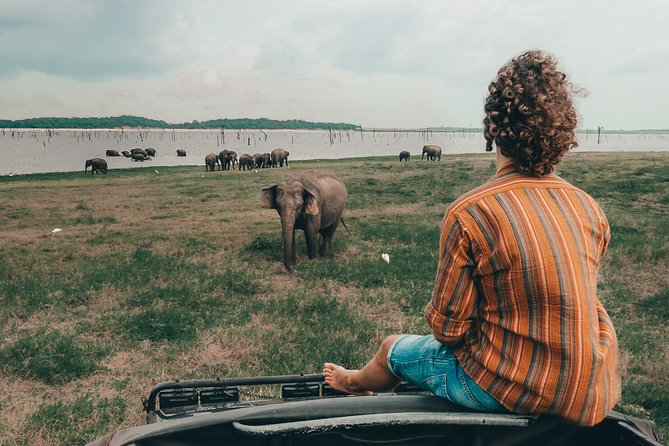 Colombo to Trincomalee Shuttle & Safari Drive - Why this transfer makes sense for a Sri Lanka itinerary
