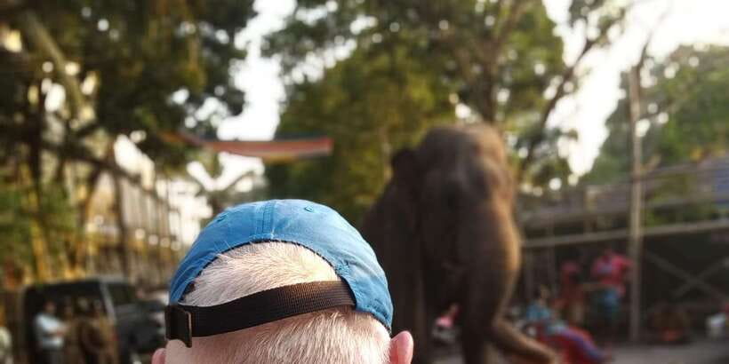 Colombo Tuk Tour with Food and Drinks(morning and evening) - What the Colombo Tuk Tuk tour really feels like
