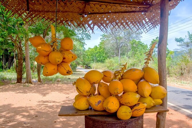 Colombo Tuk Tuk Adventure Explore Food & Culture - Cinnamon Gardens and Viharamahadevi Park