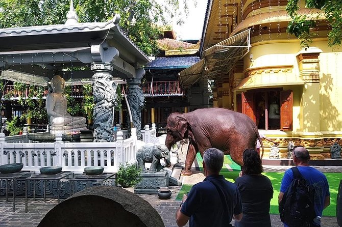 Colombo TUK TUK CITY Tours -Sightseeing Entry Fees - Lotus Tower and city parks change the pace