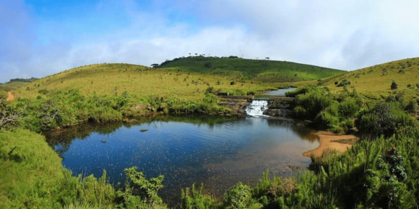 Comprehensive Excursion: Horton Plains and Pedro Tea Factory - The early ride from Nuwara Eliya
