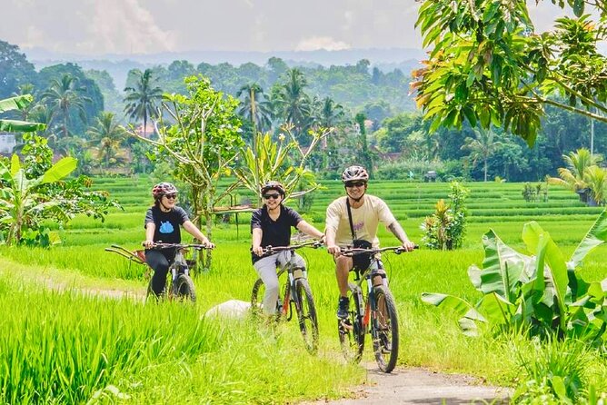 Countryside Cycling Tour From Sigiriya, Dambulla & Habarana - Key points to know before you book