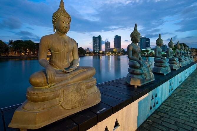 Cruise Excursions Colombo Sri Lanka Half Day Tour Excursion Colombo Sri Lanka - Key points to know before booking