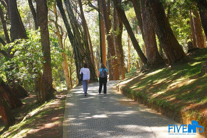 Cultural and Wildlife Expedition – 10 Days - Kandy’s sacred center and evening dance
