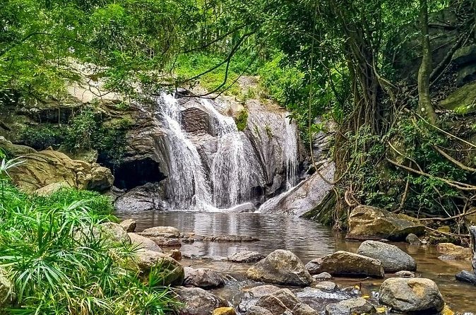 Customized Multi-Day Private Tour Packages in Sri Lanka - Day four: wildlife parks and Ella’s famous railway bridge