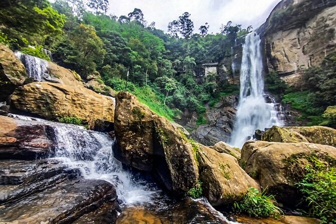 Customized Multi-Day Private Tour Packages in Sri Lanka - Day five: Mirissa, Galle, and the southern coast