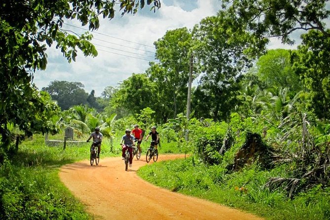 Cycling Expedition in Yala from Hambantota Harbor - Who will get the most from this shore excursion