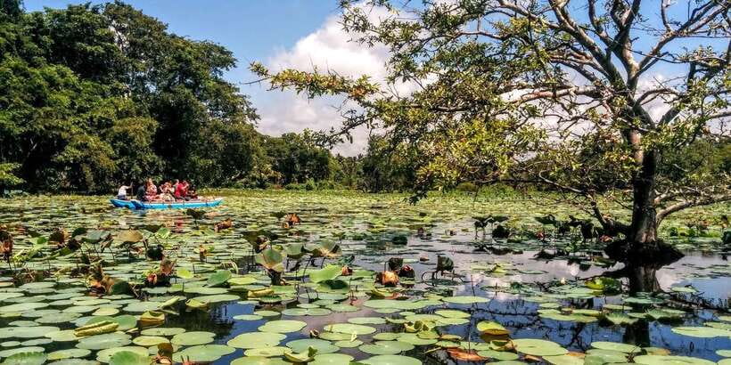 Dambulla: Cave Temple and Village All-Inclusive Tour - A six to eight-hour day with tuk-tuk transport
