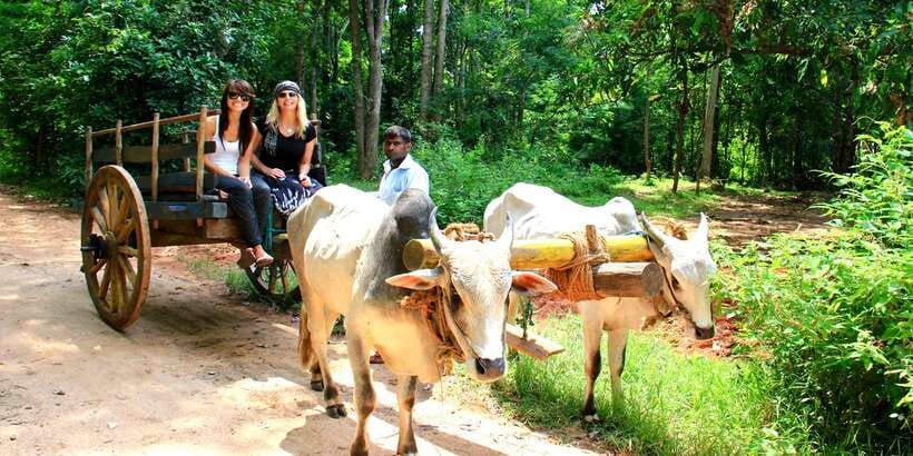 Dambulla: Cave Temple and Village All-Inclusive Tour - Who will enjoy this private day