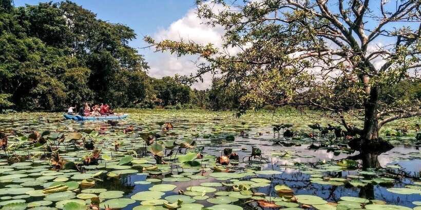 Dambulla: Caves Temple & Traditional Village Tour with Lunch - Starting from Dambulla, Sigiriya, Habarana, or Kandalama
