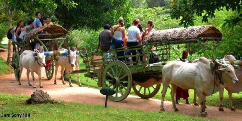 Dambulla: Caves Temple & Traditional Village Tour with Lunch - What makes the temple visit worth the morning
