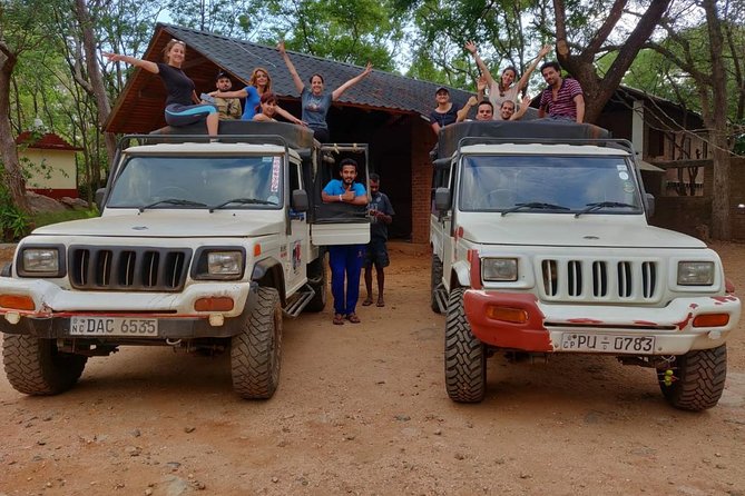 Dambulla & Sigiriya Day Tour from Colombo / Negombo with Lunch - A safari at Minneriya National Park