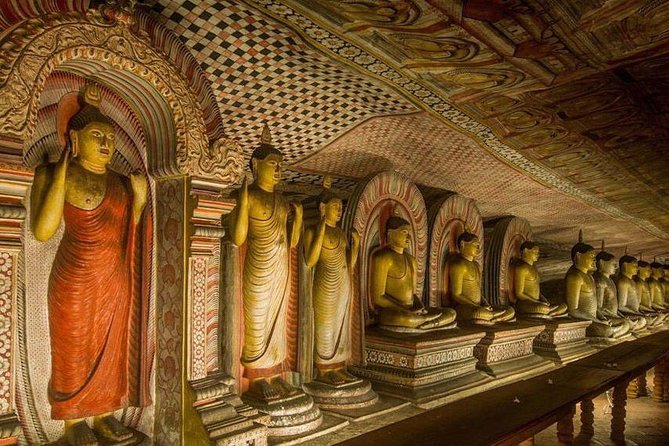 Dambulla & Sigiriya Day Tour from Colombo / Negombo with Lunch - What the guide and driver add