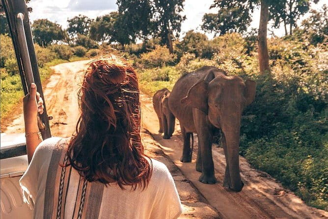 Day Excursion to Udawalawe from Colombo - Key points to know before booking