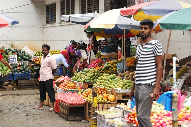 Day out to Galle[Stilt Fishing. Turtle watching.Cinnamon Farm] - Entering Galle Dutch Fort