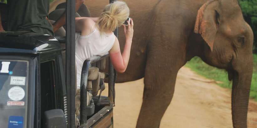 Day Safari From Hambantota - The jeep setup and what six seats mean