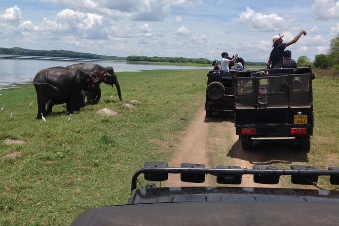 Day Tour from kandy to Sigiriya, Dambulla & National Park safari. - Why this day trip works from Kandy