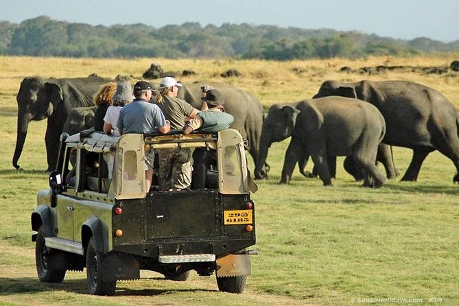 Day Tour from kandy to Sigiriya, Dambulla & National Park safari. - Dambulla’s caves and painted interiors