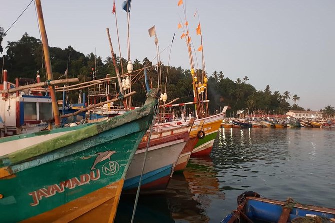 Day tour of Galle - Weligama’s stilt fishermen