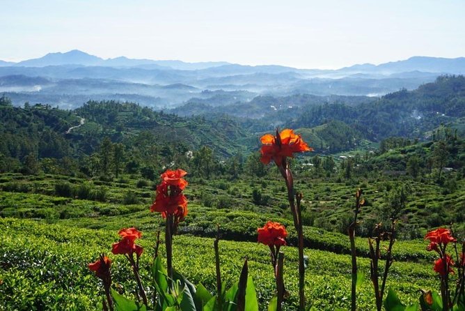 Day Tour of Nuwara Eliya - A private vehicle changes the feel of the day