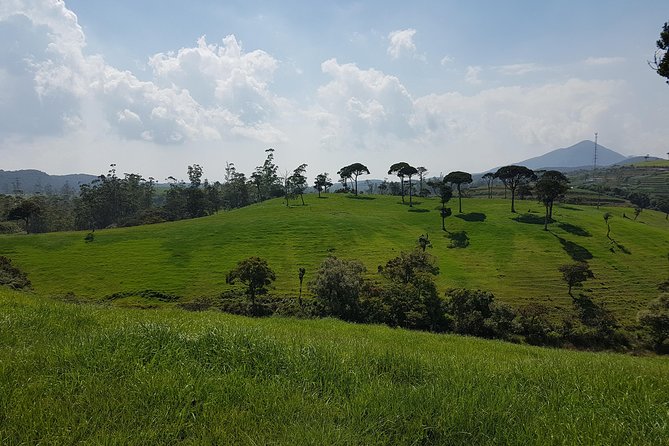 Day Tour of Nuwara Eliya - Is $45 good value for a full day?