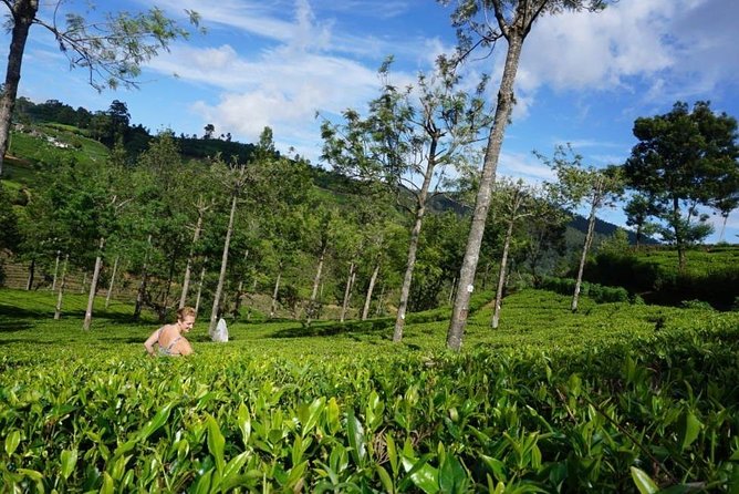 Day Tour of Nuwara Eliya - Rain, timing, and the practical side
