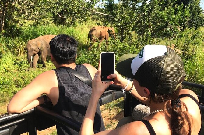 Day Tour to Dambulla, Sigiriya and Safari from Kandy (Group Tour) - What the long shared schedule feels like