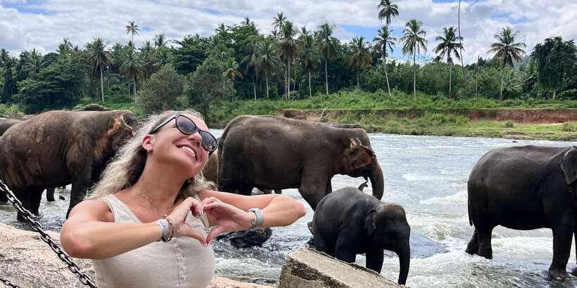 Day Tour to Elephant Orphanage / spice garden - A local restaurant stop for coffee and snacks