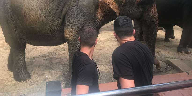 Day Tour to Elephant Orphanage / spice garden - Who should book this day tour?