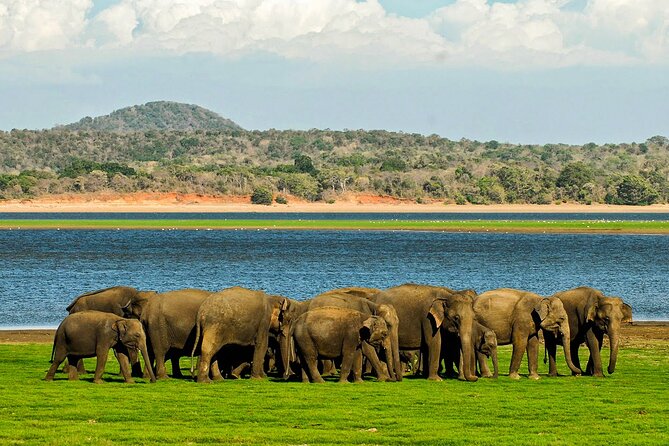 Day tour to Minneriya National Park,Sigiriya & Dambulla from Kandy - Sigiriya Rock and the hardest climb of the day