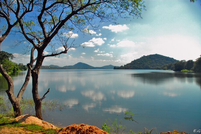 Day tour to Minneriya National Park,Sigiriya & Dambulla from Kandy - Minneriya safari and the elephant payoff
